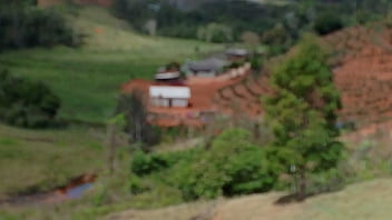 Vídeo de verificação