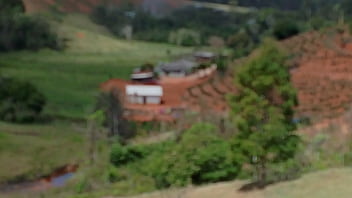 Vídeo de verificação