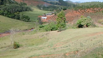 Vídeo de verificação