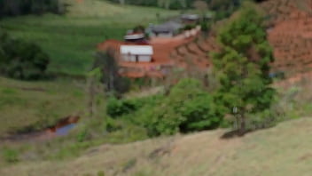 Vídeo de verificação