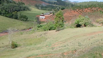 Vídeo de verificação