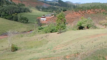 Vídeo de verificação