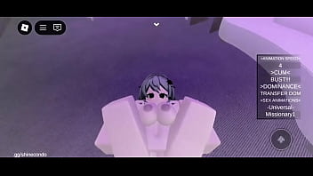 Roblox pov