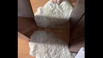 Hello have a nice monday #feet #feetworld #fetisch #nylonfetısh girl creator #socks #soles #wh