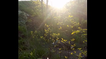 Видео для верификации