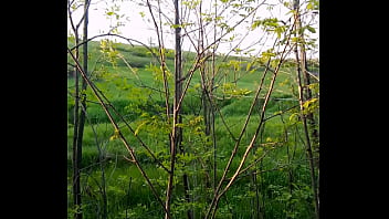 Видео для верификации