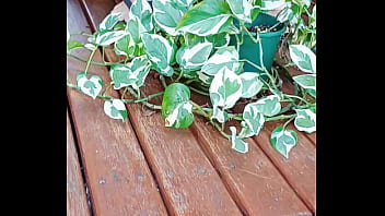 Horny mature gapes while she gardens