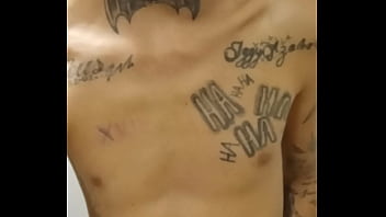 Vídeo de verificação