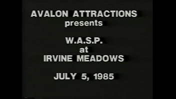 Nonton Wasp thumbnail