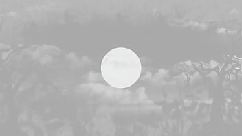 Fresh from the avn harley jade gets her ass fucked