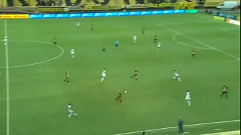 Campeonato carioca 2022