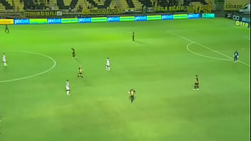 Campeonato carioca 2022