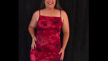 Wild curves introduction