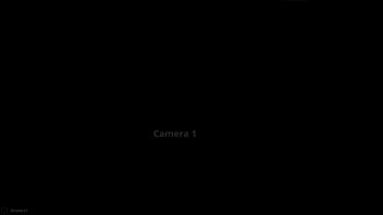 Lacey vs raijuro nf3d mixed sex battle combat