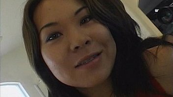 Wildlife yellow tail scene 3 video 1