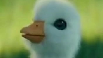 Sougaulex entrevista a putito chispos y terminan follando muy hot Sougaulex entrevista a putito chispos y terminan follando muy hot