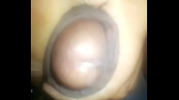 Punhetinha para as cachorras