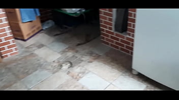 Programa 350&10 coisas