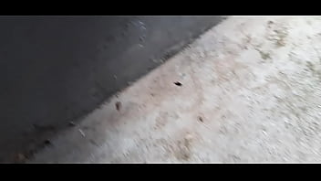 Programa 350&10 coisas