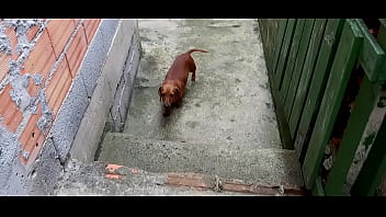 Programa 350&10 coisas