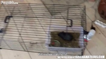 Big titted dark haired first ever anus experience