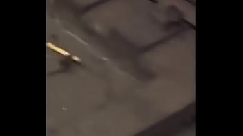 Con linkin park de fondo