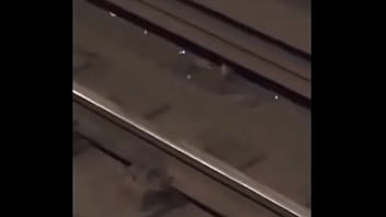 Con linkin park de fondo Con linkin park de fondo