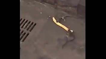 Con linkin park de fondo