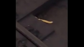 Con linkin park de fondo