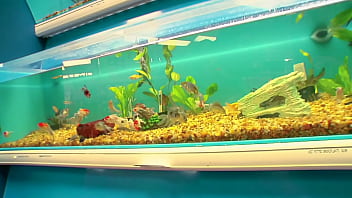 Fucking big tits milf