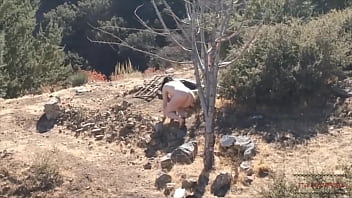 Humiliation and bastinado in the ground box