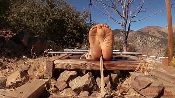 Humiliation and bastinado in the ground box