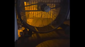 The lights are low the pulse is high can you feel it that’s your invitation ” xbiz