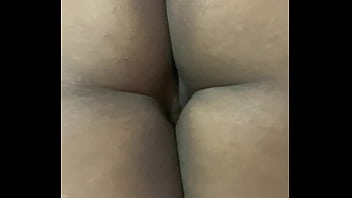 Bufão da minha esposa cachorra