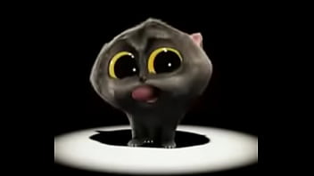 Gato cantor Gato cantor