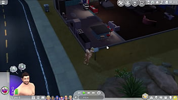 Sims nocturnos
