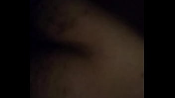 Caribbean freckled booty squirtle