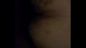 Caribbean freckled booty squirtle