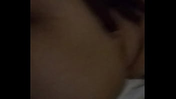 Caribbean freckled booty squirtle