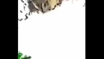 Baldi but he's incoming