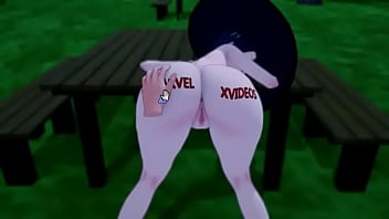 Video de vérification