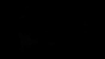 Mr mobydick as aquamanni