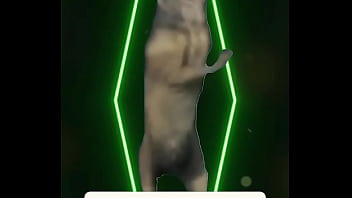 No tower could hold her forever she’s beauty she’s light — she’s her own kind of magic