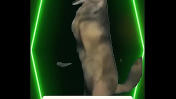 No tower could hold her forever she’s beauty she’s light — she’s her own kind of magic