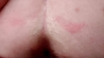 De gatinhas a explorar os buracos