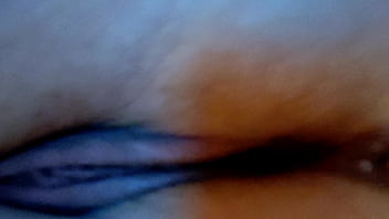 De gatinhas a explorar os buracos