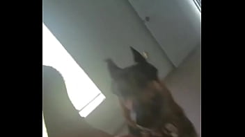 My always comes first