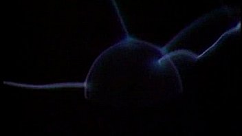 Sahara and angel kelly lesbian