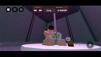 Me folle a una morra en los condors de roblox