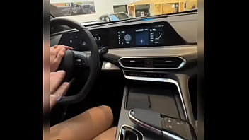 Лиса рулит #1